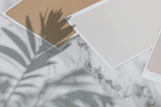 Plant Shadow Backdrops Video Bundle, a Mockup by rebrandy (Thumbnail 18 of 24)