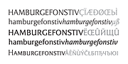 Epigraph, a Serif Font by PESIC (Thumbnail 7 of 7)