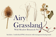 Airy Grassland — Wild Meadow Botanic, an Object Graphic by Aga Silva (Thumbnail 3 of 8)