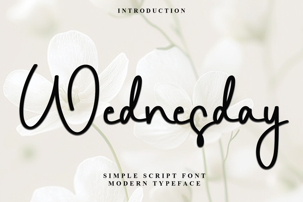 Wednesday, a Handwritten Font by FreshTypeINK (Photo 1 of 8)