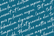Velomi Juice– Elegant Handwritten, a Handwritten Font by Basnistudio (Thumbnail 9 of 13)