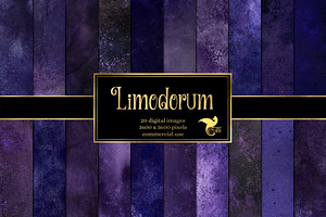 Limodorum Textures