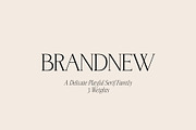 BrandNew – Luxury Serif Family, a Serif Font by BilberryCreates (Thumbnail 1 of 16)
