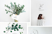 20 Floral Logo Templates, a Branding & Logo Template by Olya Creative (Thumbnail 4 of 5)