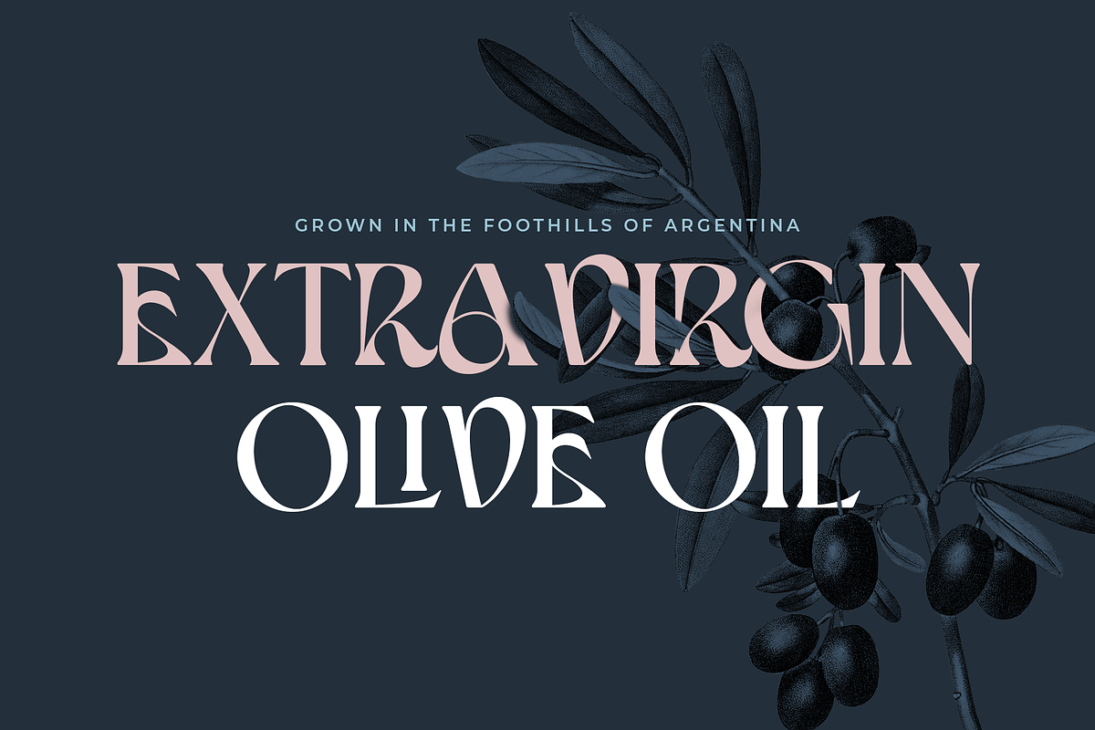 Roslyn Leigh - Display Serif, a Serif Font by 1871 Project (Photo 14 of 17)