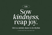 Back Bone Melavita Serif Family font, a Serif Font by Graphicxell (Thumbnail 14 of 18)