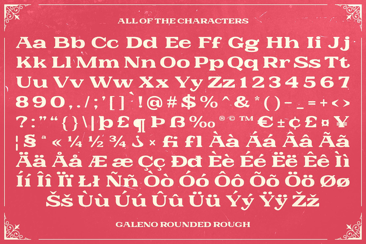 Galeno Rounded Rough, a Serif Font by Craft Supply Co. (Photo 8 of 8)