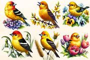 Spring American Goldfinch Clipart, a Work Illustration by OK Design (Thumbnail 2 of 4)