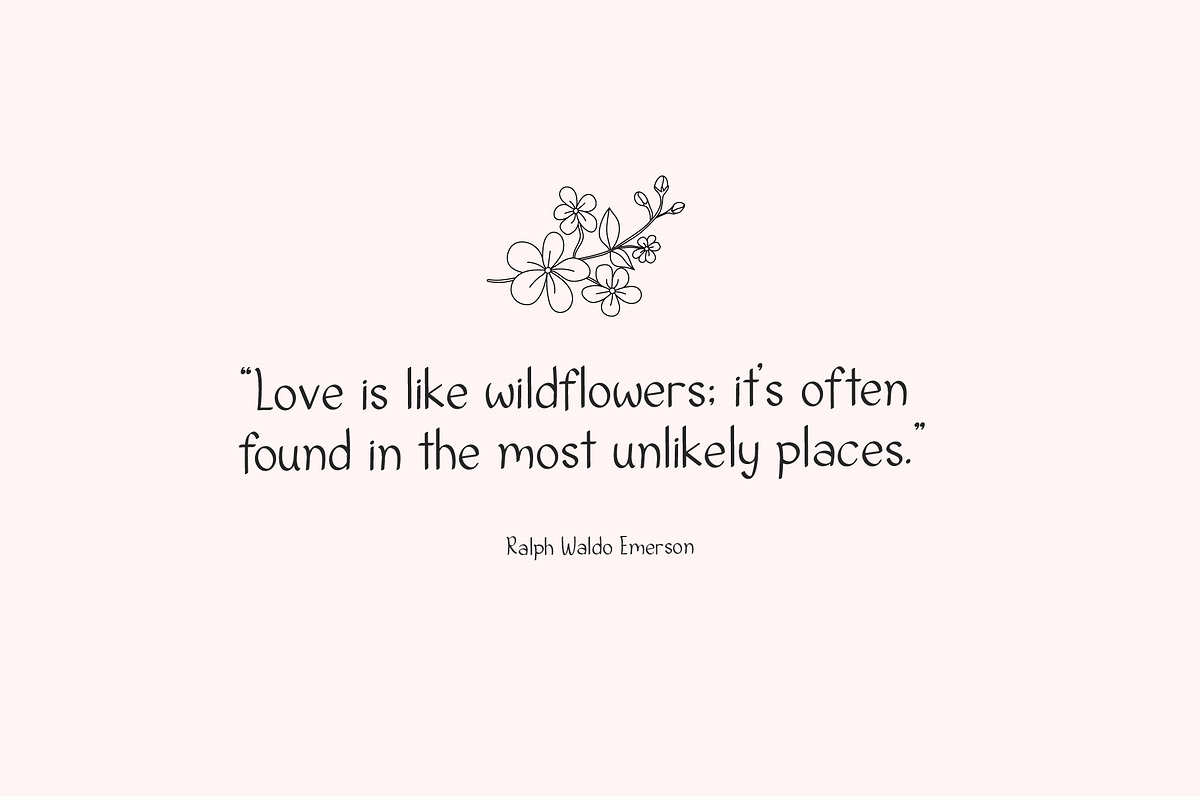 Wildflower Dreams Font & Flowers, a Handwritten Font by Kaya Fonts (Photo 15 of 20)