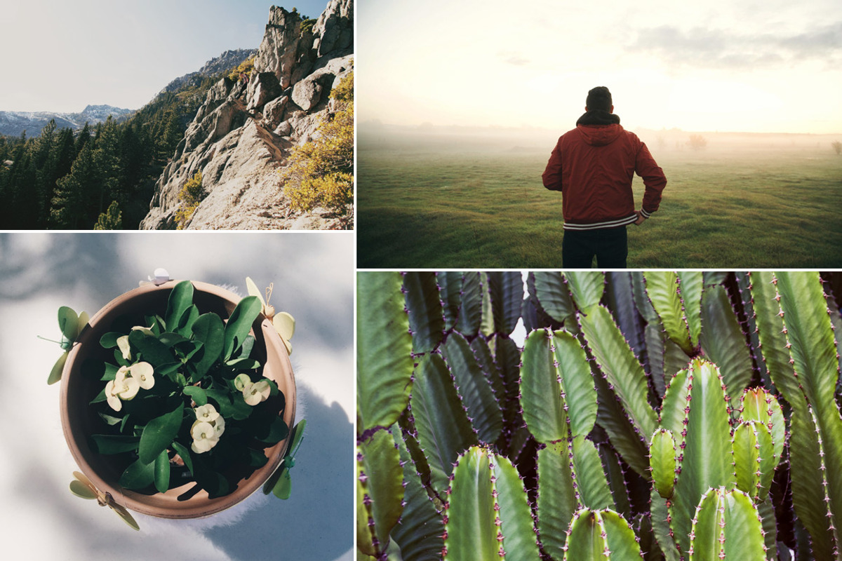 FilmTone Natural Photoshop Actions, an Action Add-On by FilterGrade (Photo 5 of 5)
