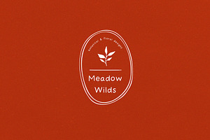 Wildflower Handwritten Font