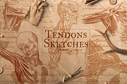 DA VINCI RENAISSANCE SKETCHES, an Object Illustration by Luna Dreams (Thumbnail 4 of 16)