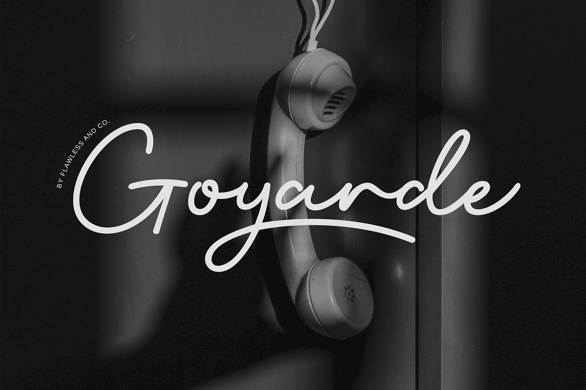 Ilyra - Modern Calligraphy Script Fo, a Script Font by Flawless And Co (Photo 8 of 10)