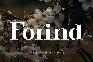 Forind An Elegant Serif Font