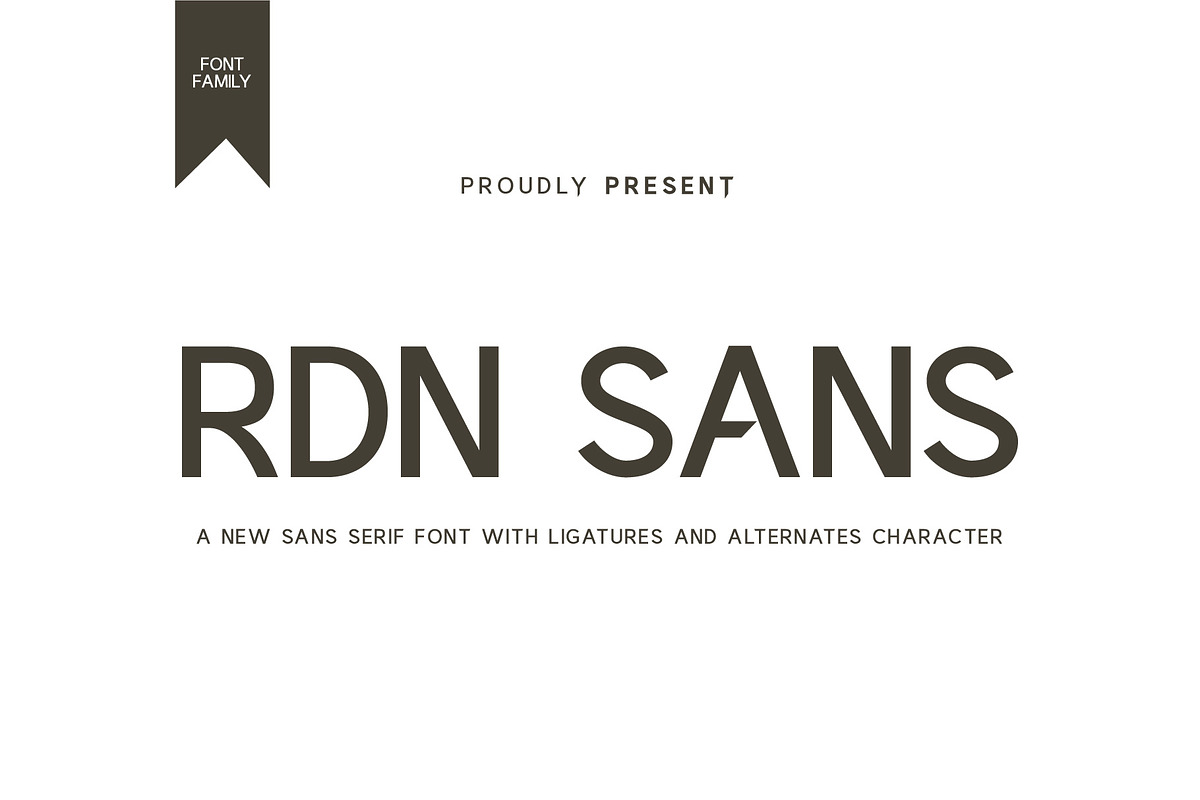 RDN SANS SERIF FONT FAMILY, a Sans Serif Font by rmdndsign (Photo 1 of 8)