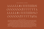 Cerotta, a Serif Font by zeenesia (Thumbnail 17 of 17)