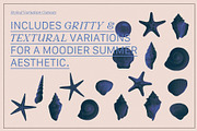BRISA MARINA Seashells & Collage, an Object Graphic by Desert Poetic (Thumbnail 4 of 5)