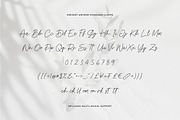 Present Anthem Modern Signature Font, a Script Font by Heinzel Std (Thumbnail 18 of 19)