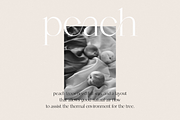 Mango - Modern Serif, a Serif Font by Sans & Sons (Thumbnail 9 of 10)