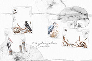 Watercolor Nature and Birds set, an Illustration by Alamella (Thumbnail 13 of 13)