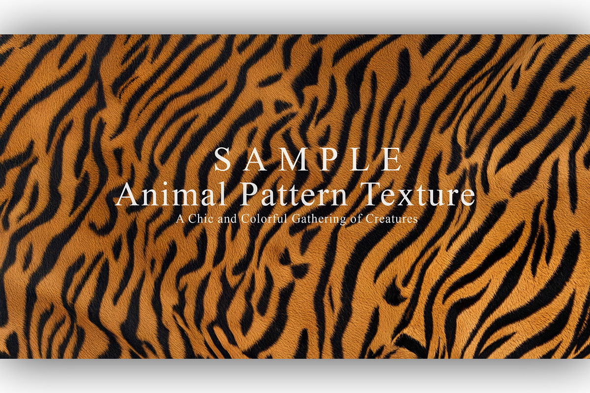 24 Animal Pattern Texture, a Background Graphic by NOMO DESIGN (Photo 24 of 24)