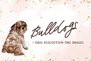 Bulldog Clipart, a Graphic by TigerlilyDesignCo (Thumbnail 1 of 2)