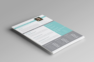 Modern Resume Template Vol.1