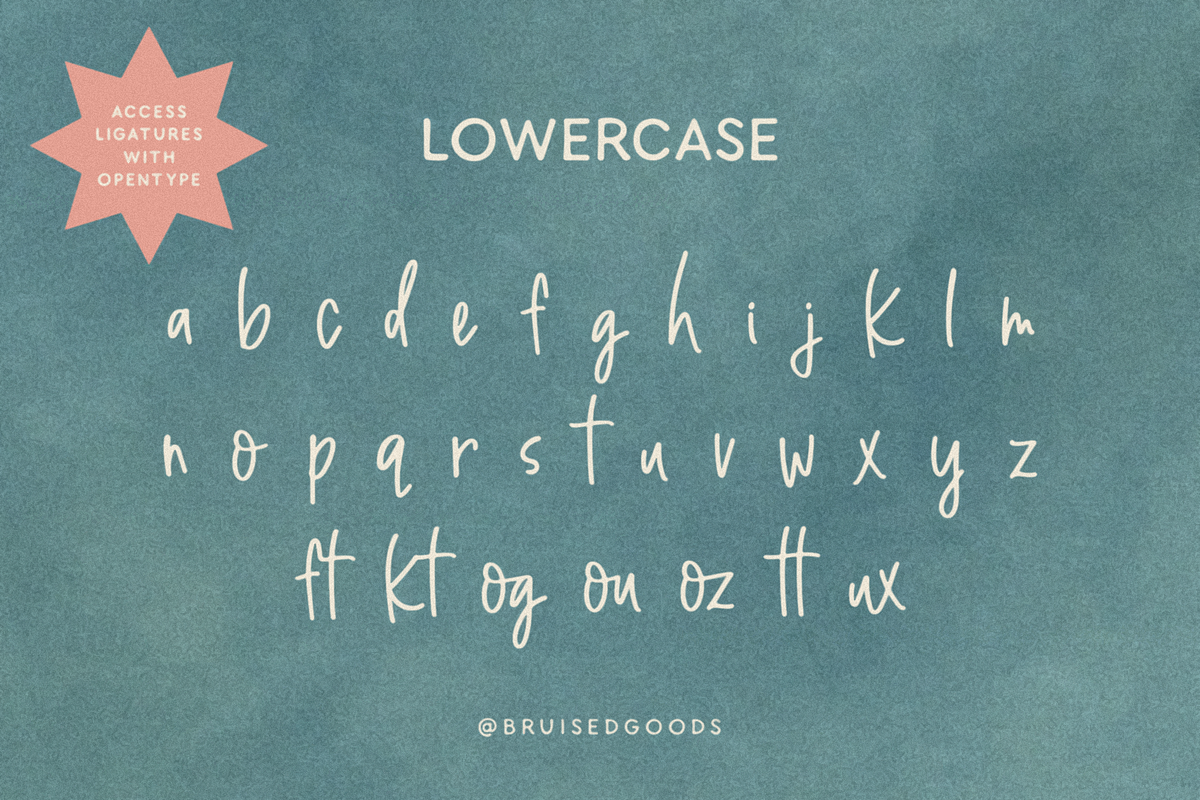 Sun Bum + Pelicano, a Handwritten Font by Bruised Goods (Photo 3 of 7)