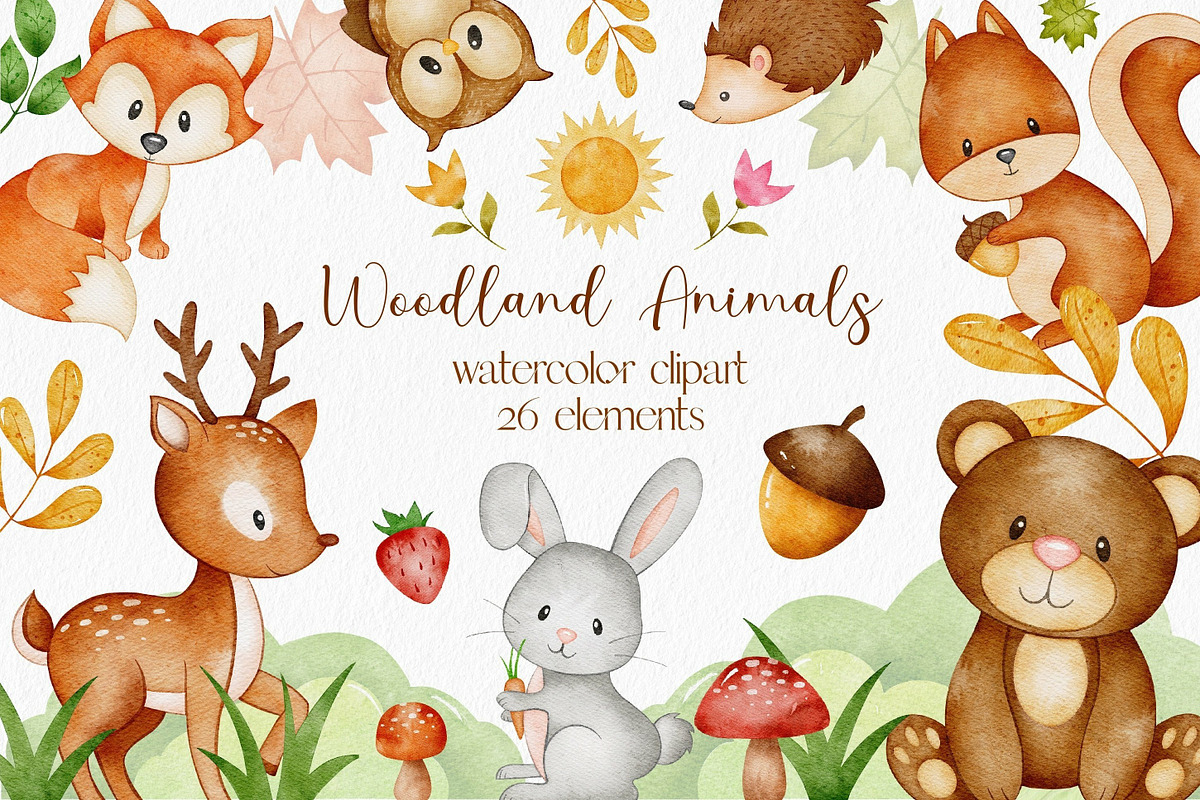 Watercolor Animals Bundle 50 OFF, an Animal Illustration by LuiDesignStudio