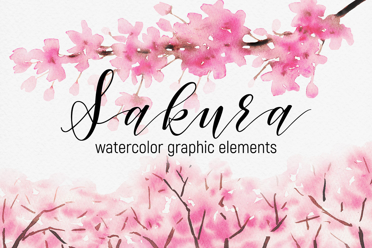 Sakura – watercolor graphic elements, an Illustration by ARTVracovska (Photo 1 of 5)