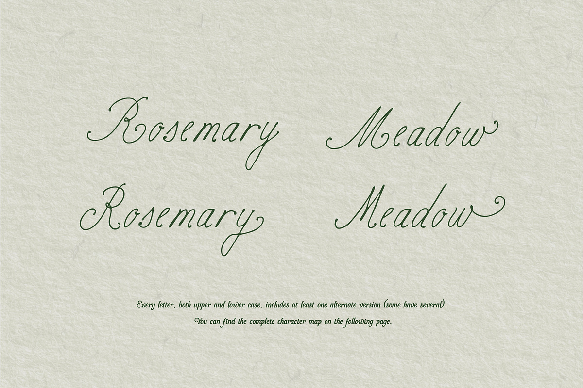Birch Paper // Handwritten Font, a Script Font by PeachCreme (Photo 11 of 14)