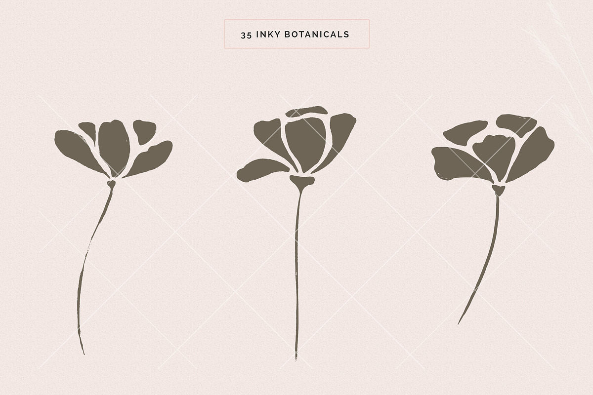 Organic Botanicals & Logo Designs, an Illustration by amber&ink (Photo 3 of 17)