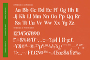 Single Robusta Modern Display Serif, a Serif Font by timelesstype.co (Thumbnail 19 of 20)