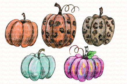 Pumpkins clipart. Leopard, pink