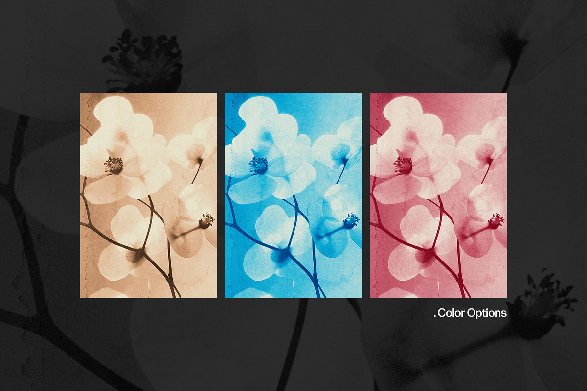 Cyanotype Photo Effect, a Layer Style Add-On by Design Squad (Photo 4 of 6)