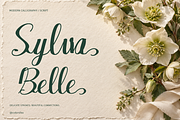 Sylva Belle Modern Calligraphy, a Script Font by Colorsfav (Thumbnail 1 of 10)
