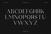 Fernstad - Elegant Serif Font, a Serif Font by Eztudio (Thumbnail 11 of 16)