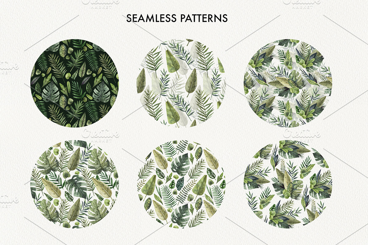 TROPICAL LEAVES & ELEMENTS, a Decorative Illustration by Watercolor by Tonia Tkach (Photo 5 of 6)