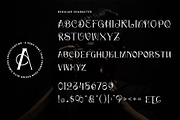 Shutter Photography, a Serif Font by Letterara (Thumbnail 8 of 12)