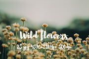 Wild Flowers II, a Templates & Theme by ApertureVintage (Thumbnail 2 of 14)