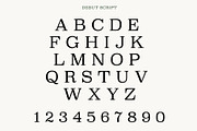 Debut - Serif & Script Duo, a Script Font by Loudoun Design Co. (Thumbnail 7 of 9)