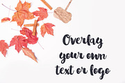 Fall Stock Brand Photos, a Books & Magazine Mockup by Cassandra Lea (Thumbnail 4 of 5)