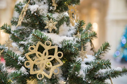 gold star, a Holiday Photo by Maria Kray