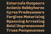 Asong Display Serif Font, a Serif Font by PeanutButter Type (Thumbnail 5 of 5)