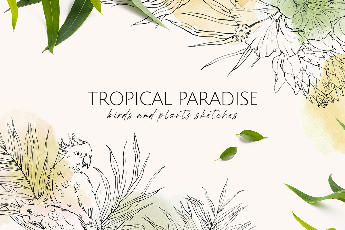 TROPICAL PARADISE birds and plants, a Decorative Illustration by Yuliia Lashevska (Photo 14 of 14)