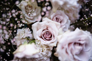 A Garden of Roses | Wedding, Events, a Nature Photo by Farewell (Thumbnail 31 of 41)