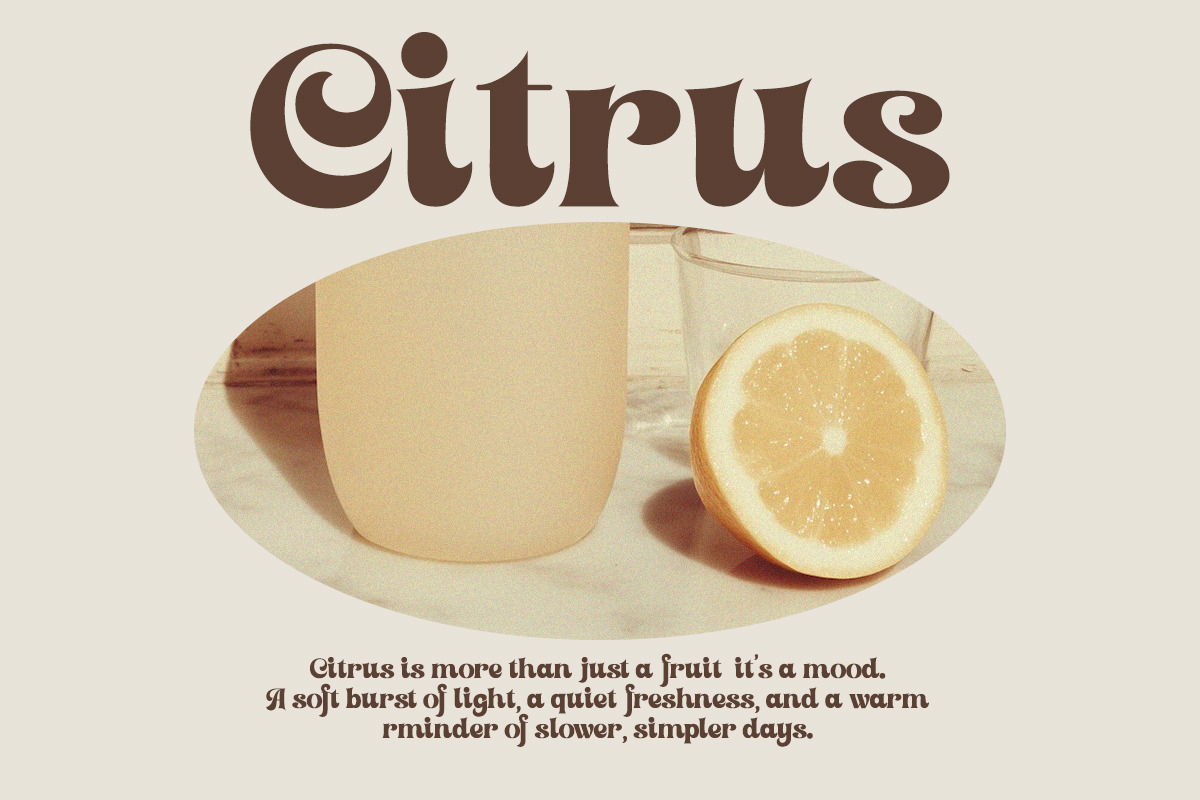 Setilver - Retro Swash Font, a Serif Font by Qweera Studio (Photo 8 of 12)