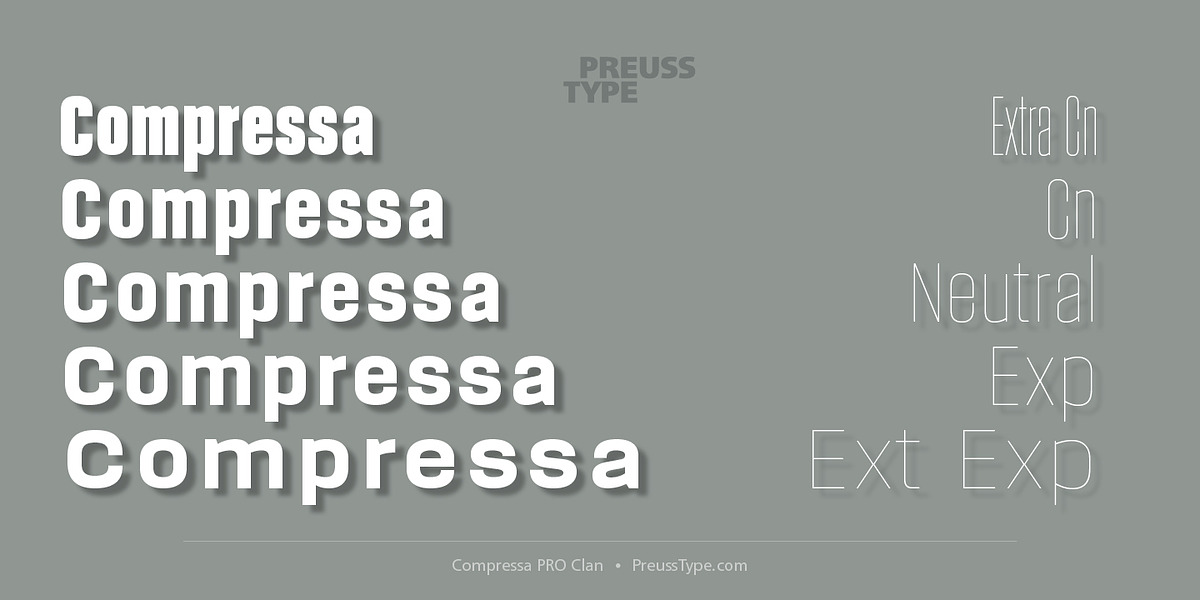 Compressa PRO, a Sans Serif Font by preussTYPE (Photo 1 of 9)
