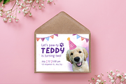 Let's Paw-ty Pet Birthday Invitation, a Design Template by TemplateCastleStore (Thumbnail 8 of 9)