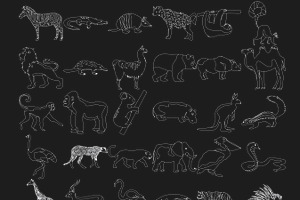 African Animals Outlines Silhouettes